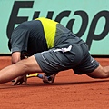 Mikhail Youzhny