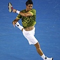 Fernando Verdasco