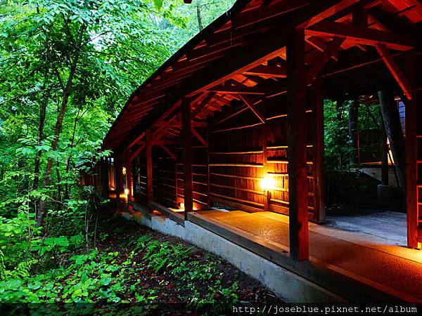 DSC00420.JPG DSC00420.JPG