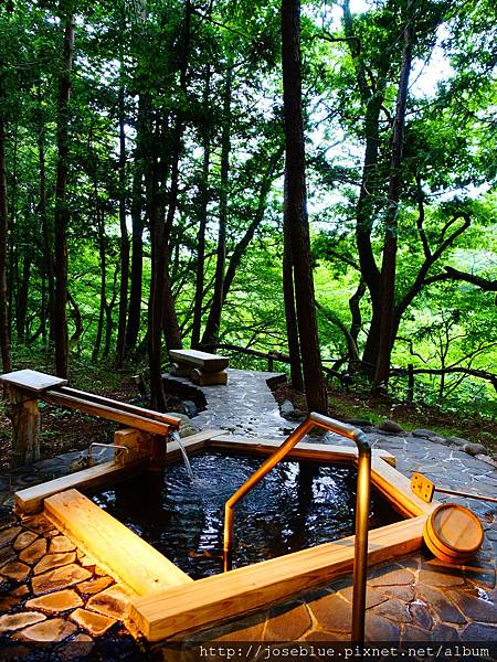 DSC00365.JPG DSC00365.JPG