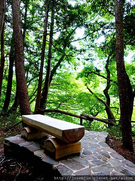 DSC00375.JPG DSC00375.JPG