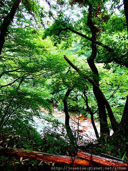 DSC00382.JPG DSC00382.JPG