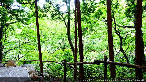 DSC00180.JPG DSC00180.JPG