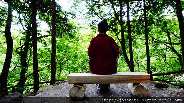 DSC00194.JPG DSC00194.JPG