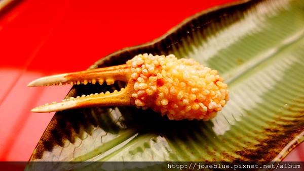 DSC05775.JPG DSC05775.JPG