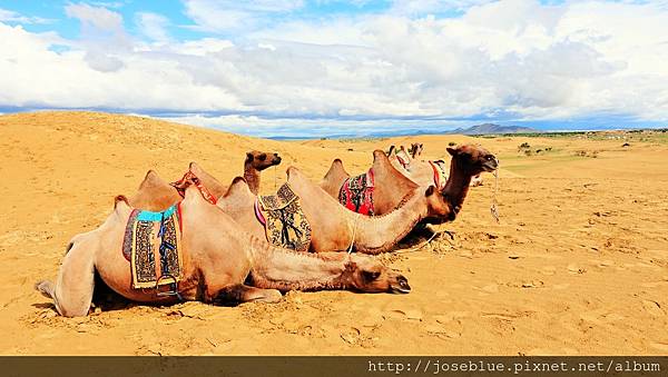 DSC02566.JPG DSC02566.JPG