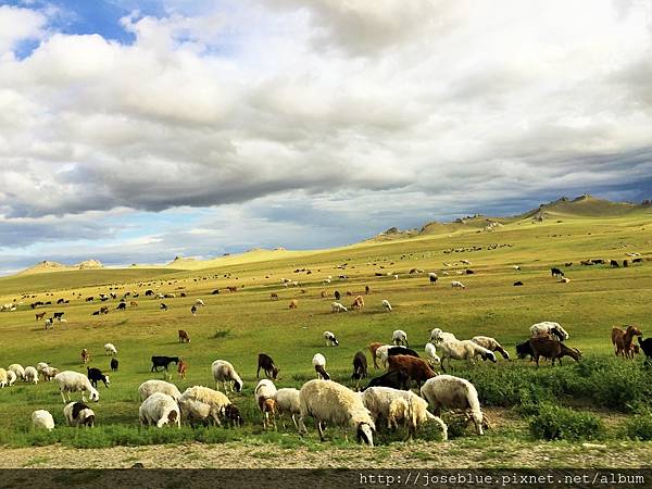 IMG_3942.JPG IMG_3942.JPG