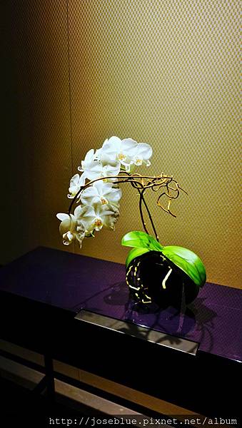 DSC01810.JPG DSC01810.JPG