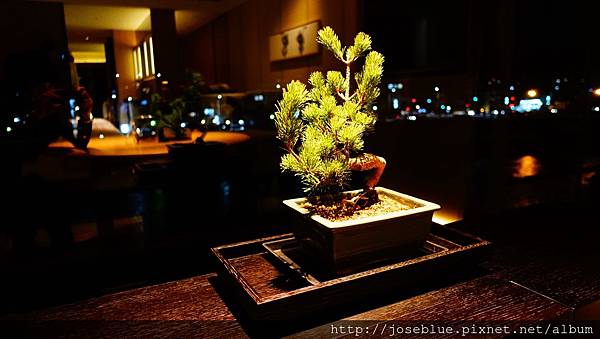 DSC01545.JPG DSC01545.JPG