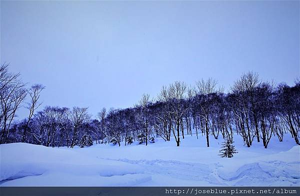日本 北海道 【 坐忘林 Zaborin Ryokan 】 
