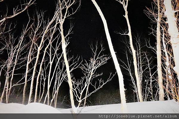 日本 北海道 【 坐忘林 Zaborin Ryokan 】 