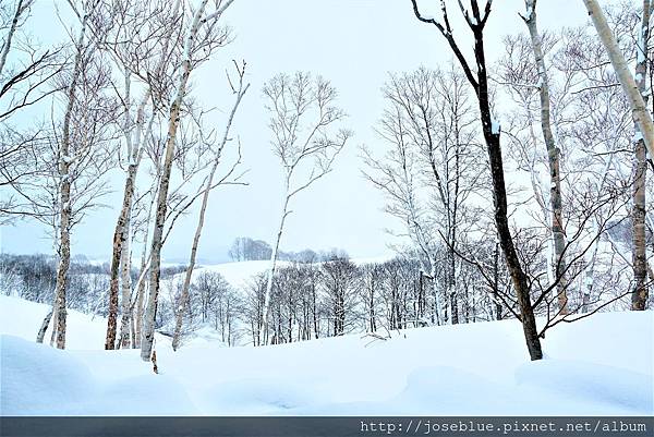 日本 北海道 【 坐忘林 Zaborin Ryokan 】 