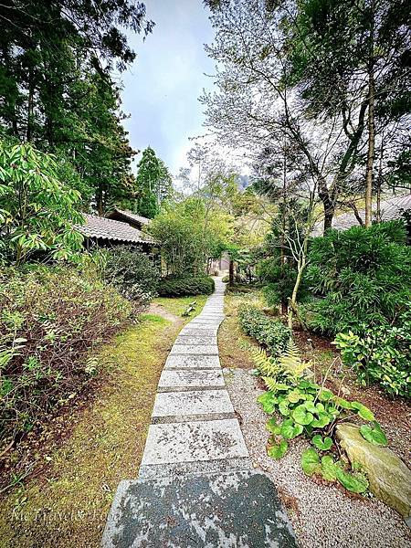 04_林深不知處。.jpeg 04_林深不知處。.jpeg