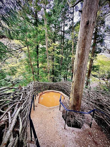 32_為了一張照片開啟的旅程️.jpeg 32_為了一張照片開啟的旅程️.jpeg