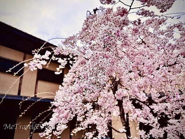 日本 兵庫 【 有馬 溫泉 山叢 御所 別墅 】在 林森 間 日本 兵庫 【 有馬 溫泉 山叢 御所 別墅 】在 林森 間