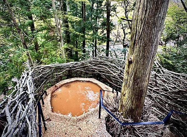 39_入宿溫泉旅館時,大家都會泡幾次溫泉呢?(好奇😯).jpeg 39_入宿溫泉旅館時,大家都會泡幾次溫泉呢?(好奇😯).jpeg