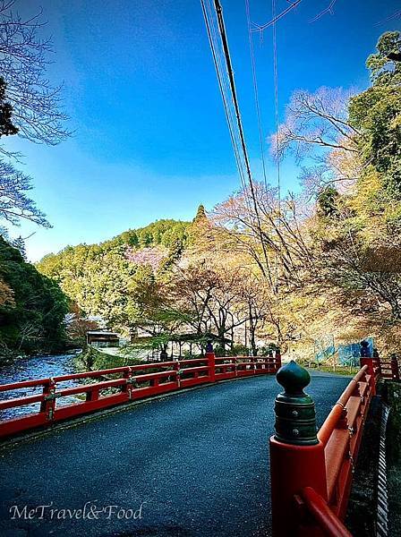【 日本 • 京都 • 高雄 • もみぢ 家別館 川の庵 【 日本 • 京都 • 高雄 • もみぢ 家別館 川の庵