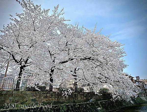 【 日本 • 京都 • 柚子元 】只挑有緣人的 柚子 鍋 料 【 日本 • 京都 • 柚子元 】只挑有緣人的 柚子 鍋 料