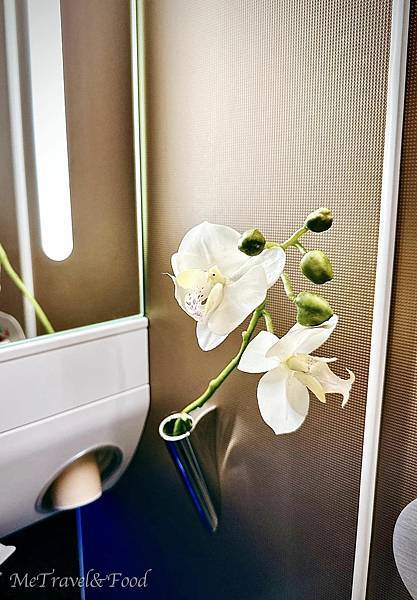 【 星宇航空 · 台北 直飛 關西 · 商務艙 】微失望初體 【 星宇航空 · 台北 直飛 關西 · 商務艙 】微失望初體