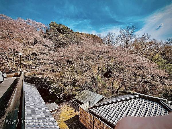 【日本 • 奈良 • Ando Hotel • 奈良 若草山