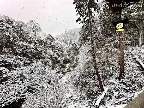 【 加賀 • 山中溫泉 • こおろぎ楼 】山中 無歲月 【 加賀 • 山中溫泉 • こおろぎ楼 】山中 無歲月