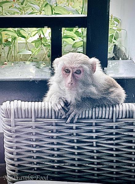 【 越南 • 峴港 • InterContinental D 【 越南 • 峴港 • InterContinental D