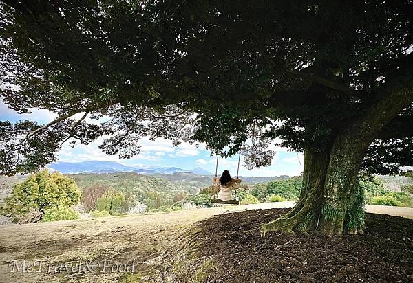【日本 • 九州 • 鹿兒島 • 霧島 • 天空之森 • 霖 【 日本 • 九州 • 鹿兒島 • 霧島 • 天空之森 •