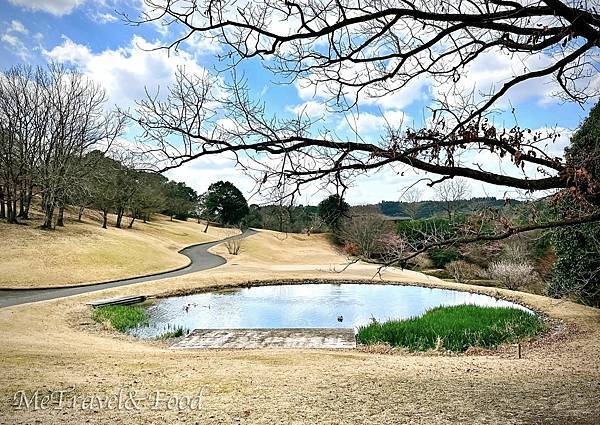 【日本 • 九州 • 鹿兒島 • 霧島 • 天空之森 • 霖 【 日本 • 九州 • 鹿兒島 • 霧島 • 天空之森 •