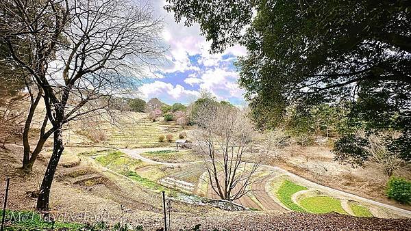 【日本 • 九州 • 鹿兒島 • 霧島 • 天空之森 • 霖 【 日本 • 九州 • 鹿兒島 • 霧島 • 天空之森 •