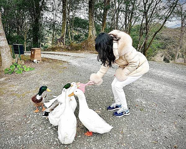 【日本 • 九州 • 鹿兒島 • 霧島 • 天空之森 • 霖 【 日本 • 九州 • 鹿兒島 • 霧島 • 天空之森 •