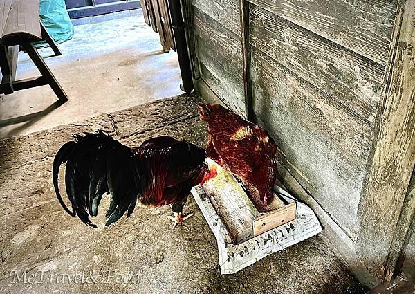 【日本 • 鹿兒島 • 霧島 • 雅敘苑 忘れの里】來去農家