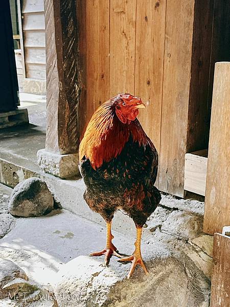 【日本 • 鹿兒島 • 霧島 • 雅敘苑 忘れの里】來去農家