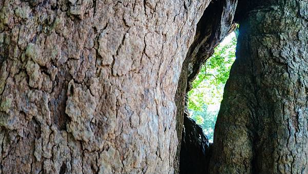 DSC_1610_2 DSC_1610_2