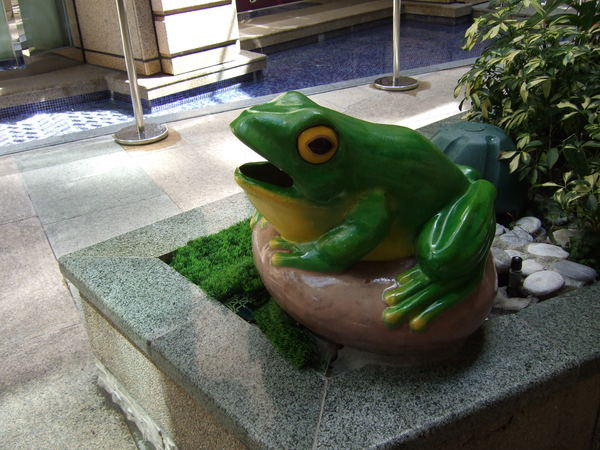綠油油的青蛙