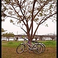 腳踏車和鐵橋