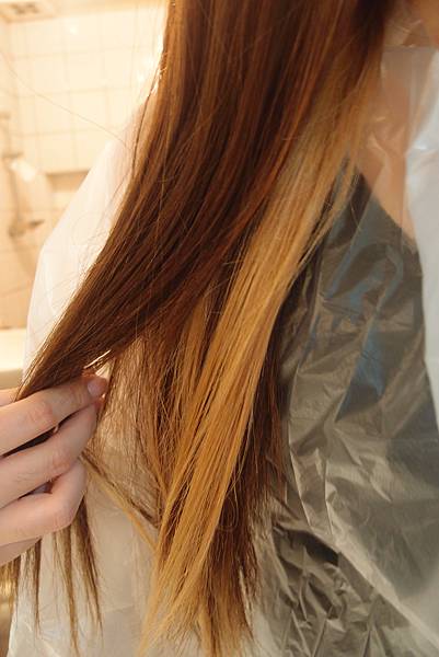 P7080885.JPG P7080885.JPG