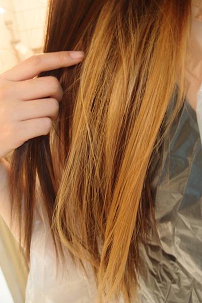 P7080886.JPG P7080886.JPG