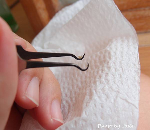 P8081013-001.JPG P8081013-001.JPG