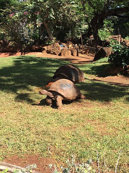 IMG_5011.JPG IMG_5011.JPG