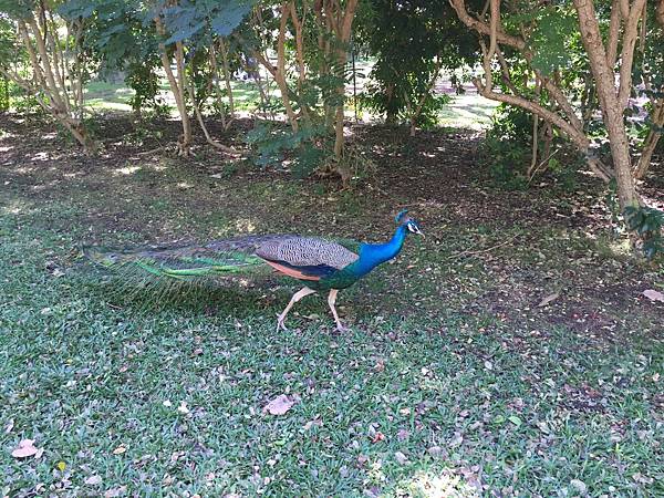 IMG_5008.JPG IMG_5008.JPG