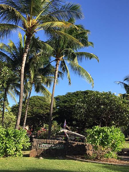 IMG_5081.JPG IMG_5081.JPG