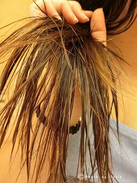 IMG_1128.JPG IMG_1128.JPG