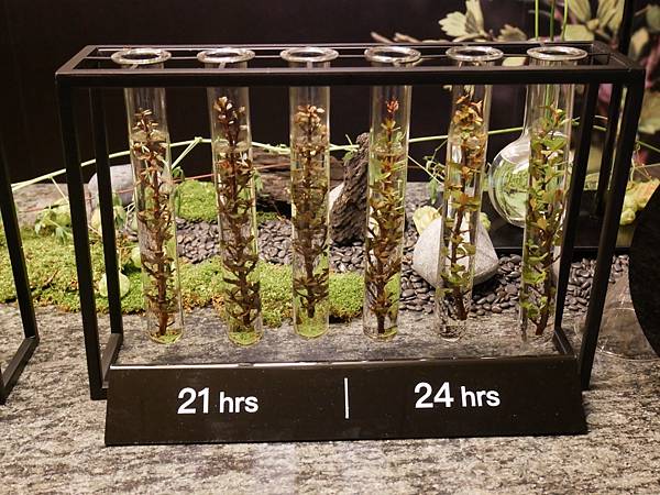 IMG_2627.JPG IMG_2627.JPG