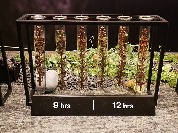 IMG_2626.JPG IMG_2626.JPG