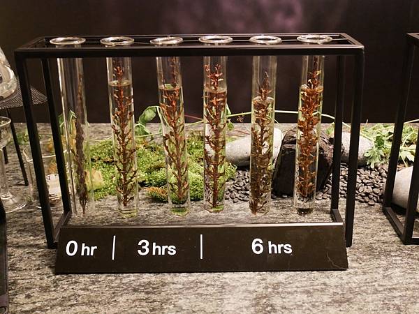 IMG_2625.JPG IMG_2625.JPG