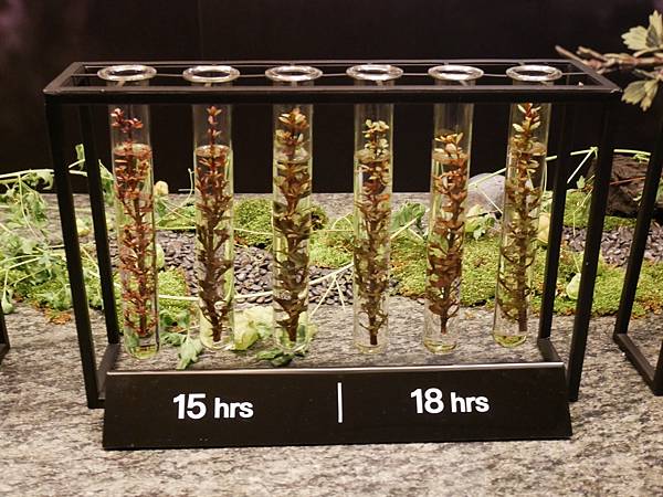 IMG_2624.JPG IMG_2624.JPG