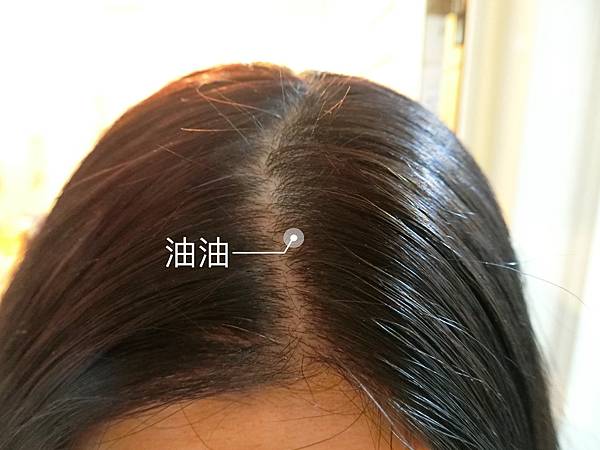 IMG_5348.JPG IMG_5348.JPG