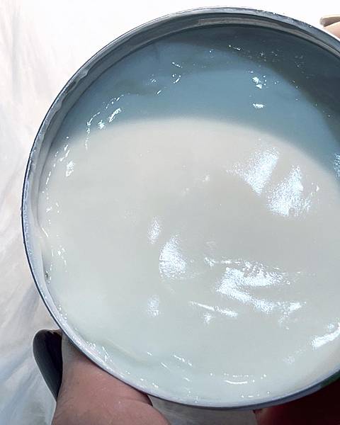 猫奴必收！Felissimo猫部 x 日本人气插画师STEA