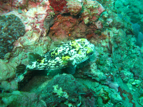 IMG_0051.JPG