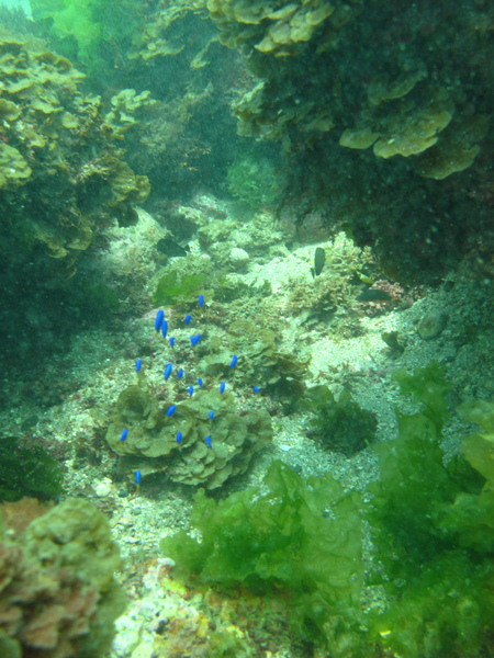 IMG_0186.JPG